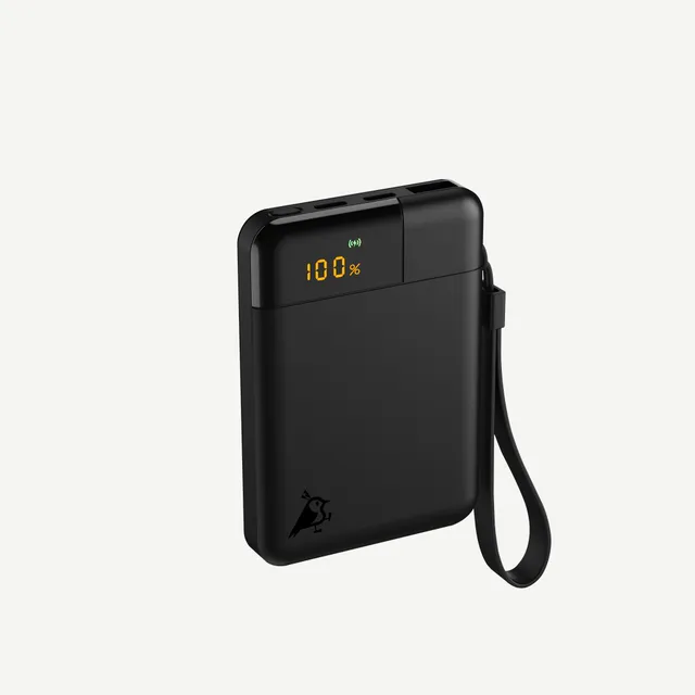 aqiila-powerbird-b5-powerbank-5000-mah-schwarz-schnellladen image 1